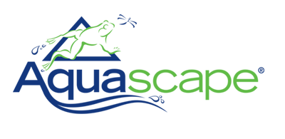 Aquascape
