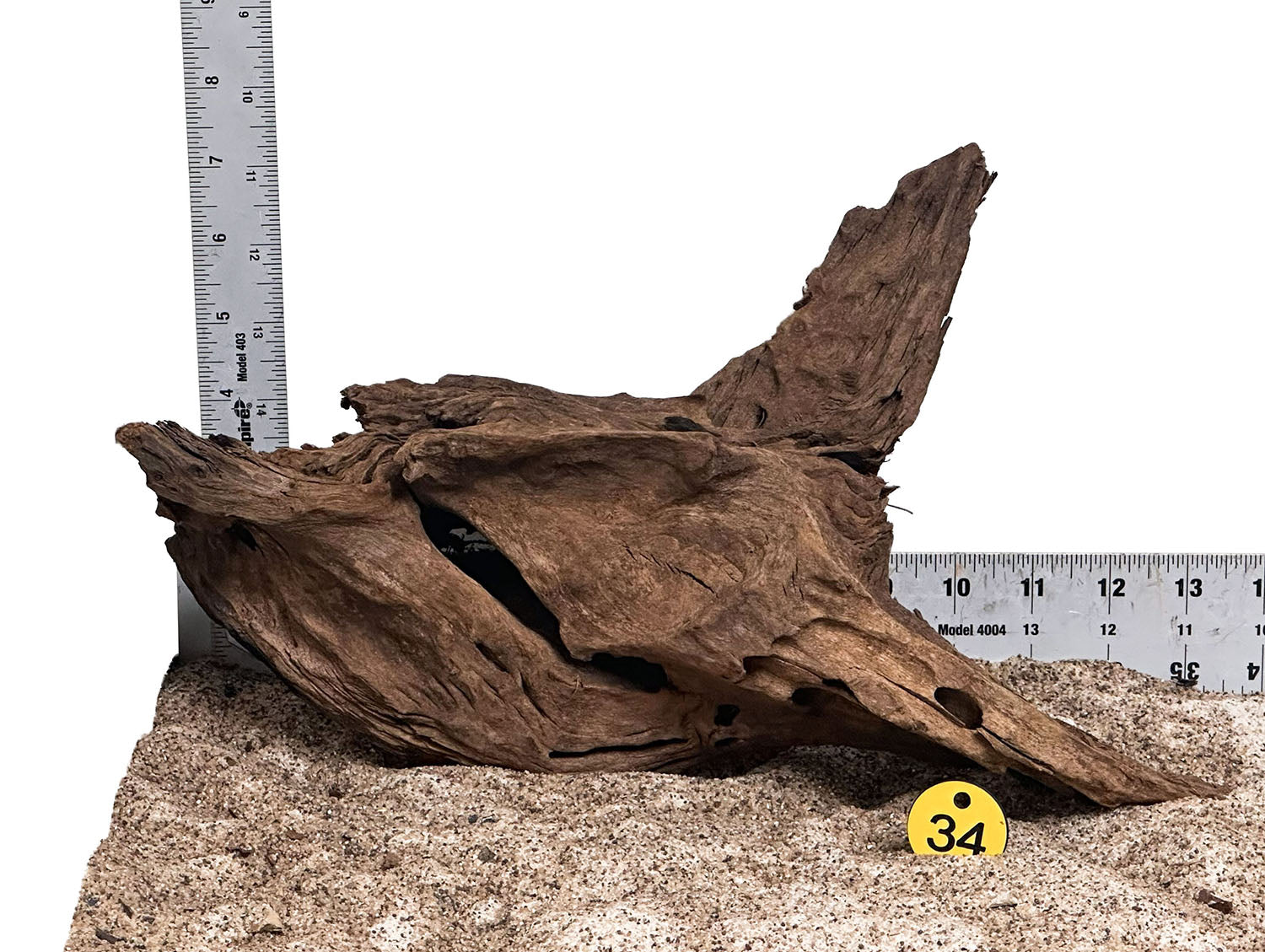 WYSIWYG 34Y - 260801 - Malaysian Mangrove Wood (Medium)