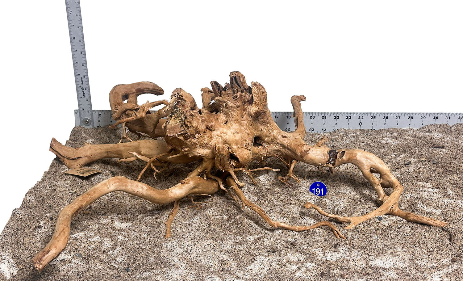 WYSIWYG 191BU - 260801 - Spider Wood (XL)