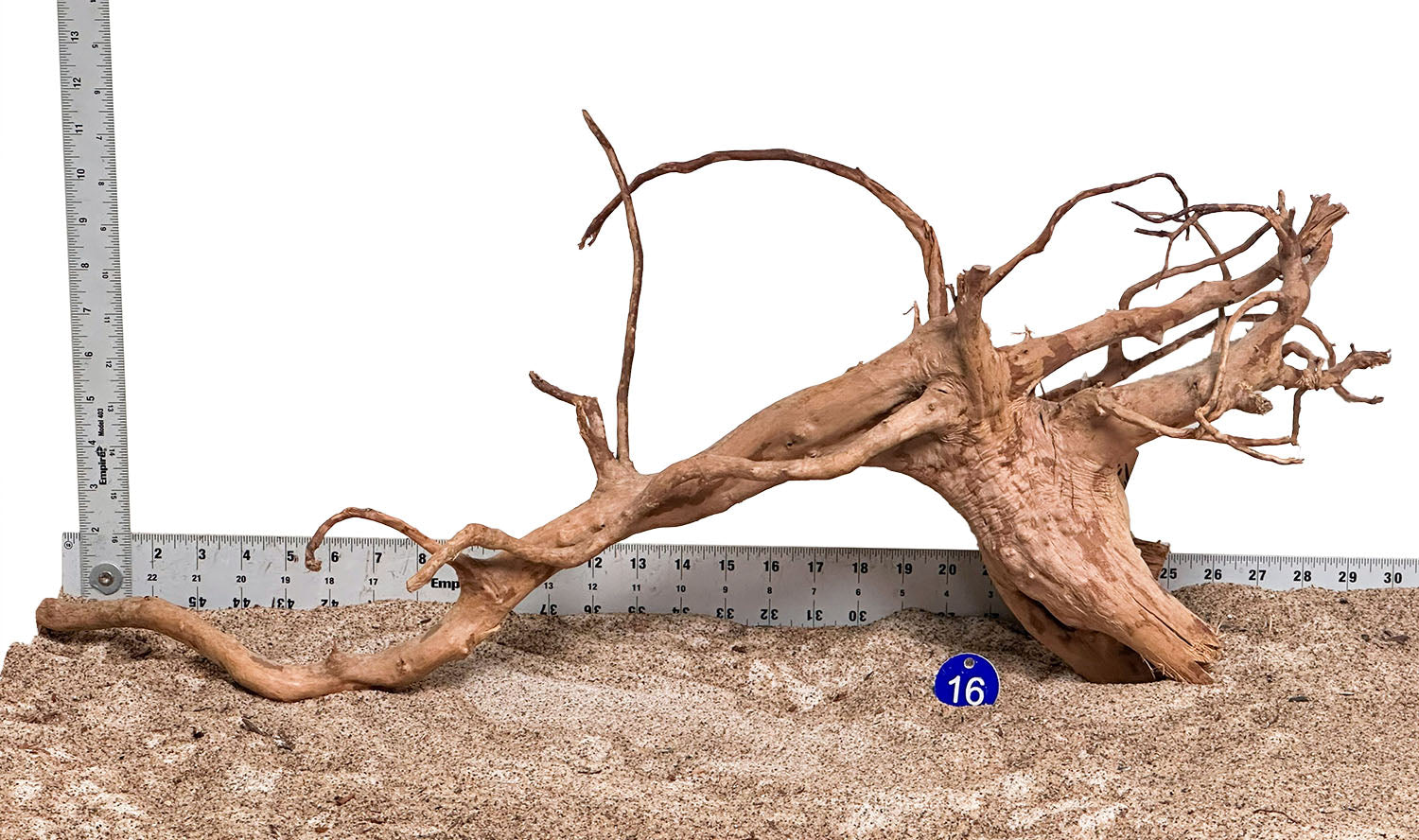 WYSIWYG 16BU - 260218 - Spider Wood (XL)