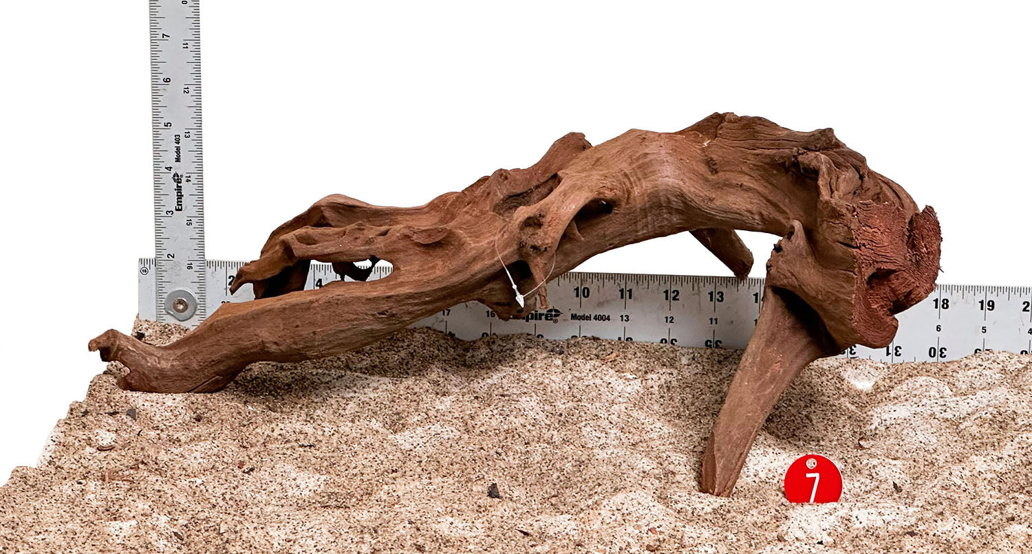 WYSIWYG 7RD - 260218 - Weathered Driftwood (Medium)