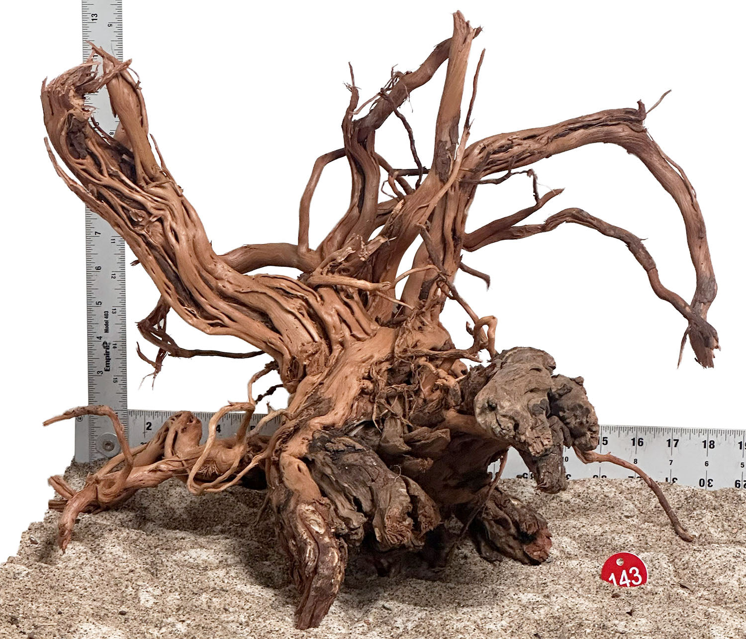 WYSIWYG 143RD - 260703 - Dragon Wood (Large)