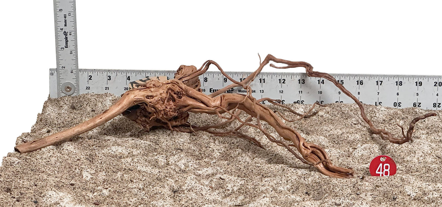 WYSIWYG 48RD - 260703 - Dragon Wood (Medium)