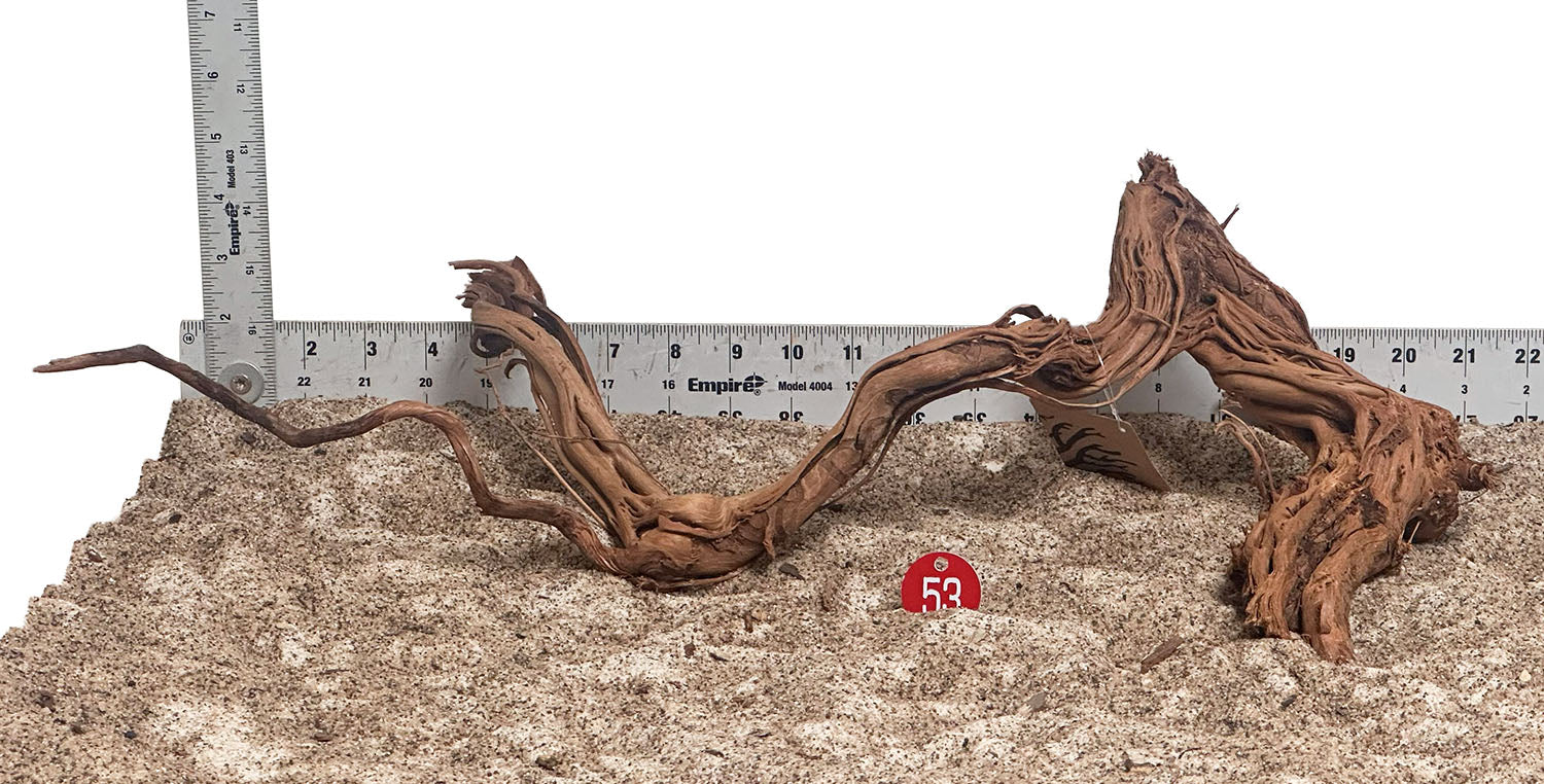 WYSIWYG 53RD - 260703 - Dragon Wood (Medium)