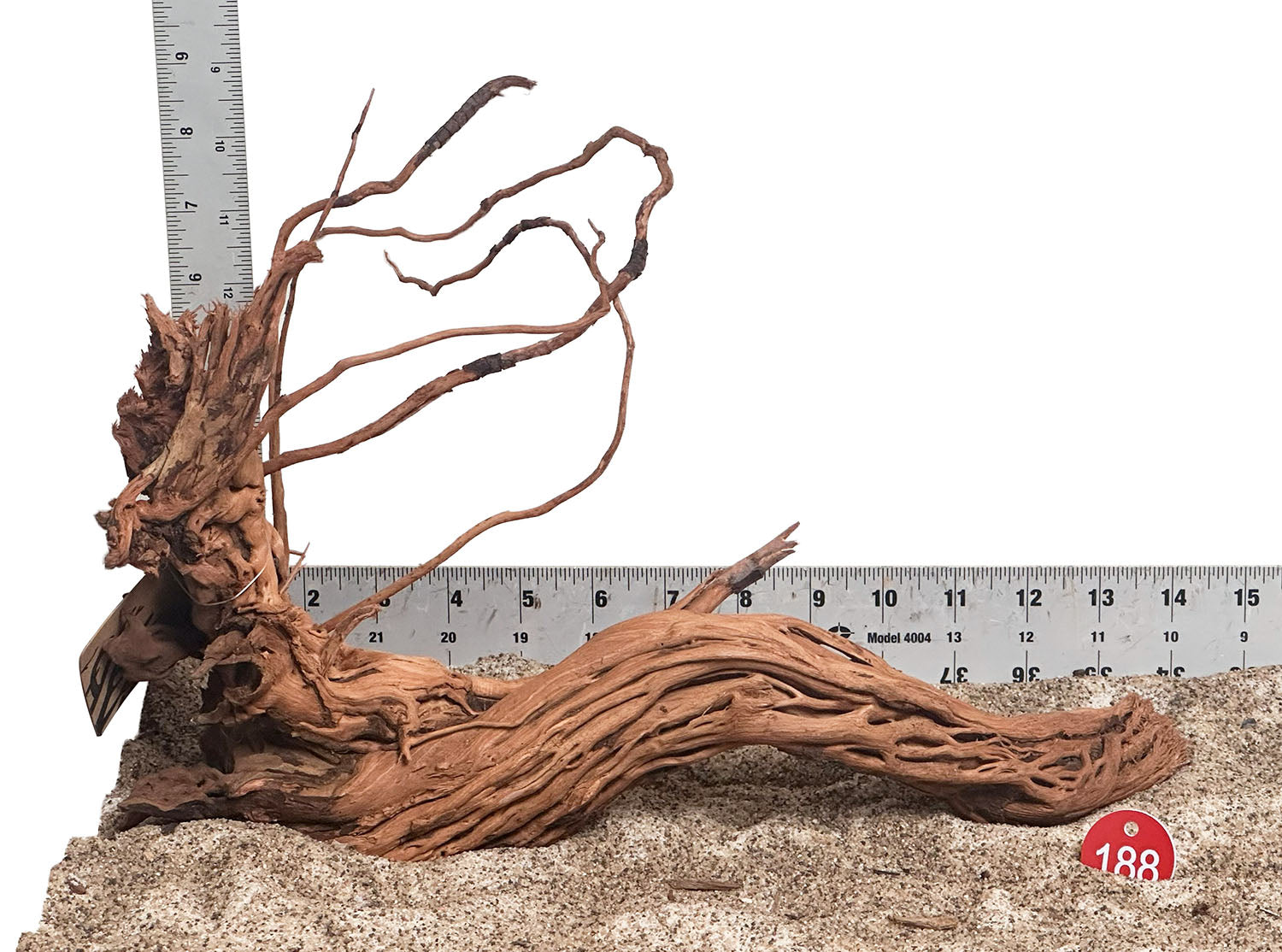 WYSIWYG 188RD - 260703 - Dragon Wood (Medium)