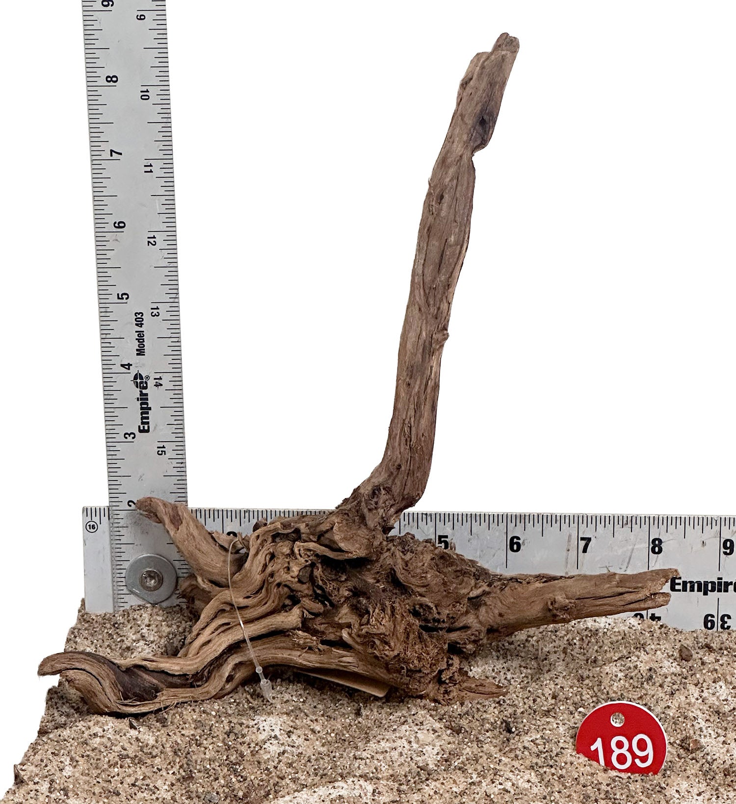 WYSIWYG 189RD - 260703 - Dragon Wood (Small)