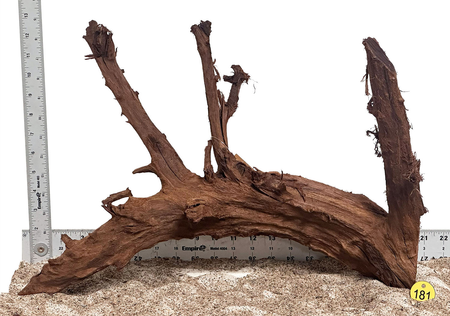 WYSIWYG 181Y - 260616 - Malaysian Mangrove Wood (Large)