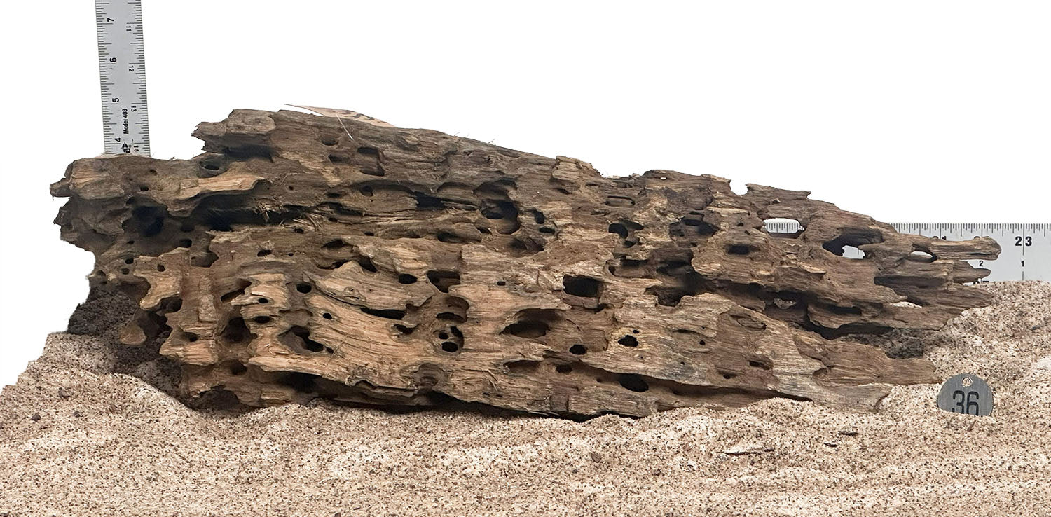 WYSIWYG 36S - 260616 - Ohko Wood (XL)