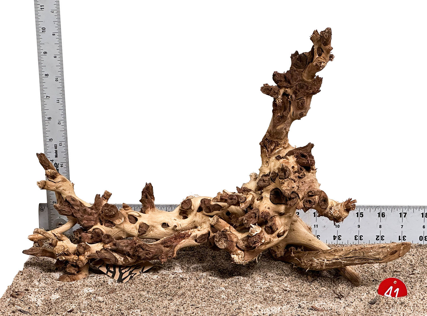 WYSIWYG 41RD - 260325 - Gnarly Wood (Medium)