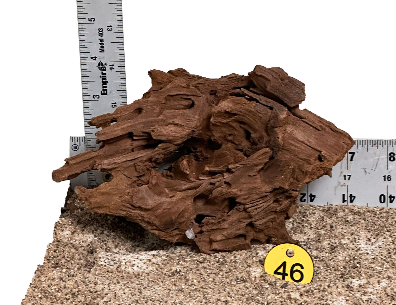 WYSIWYG 46Y - 260325 - Malaysian Mangrove Wood (MINI)