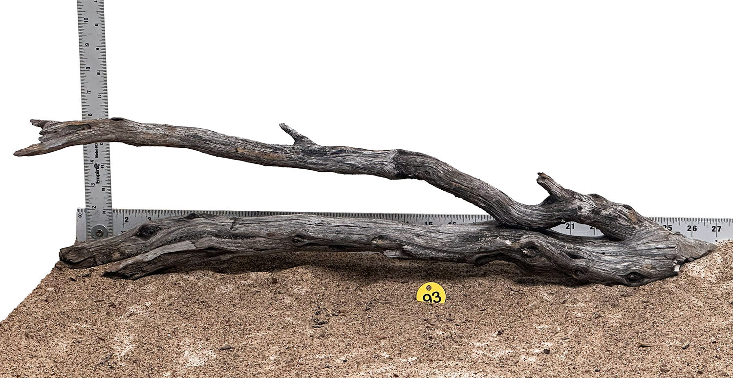WYSIWYG 93Y - 260325 - Manzanita Wood (XL)