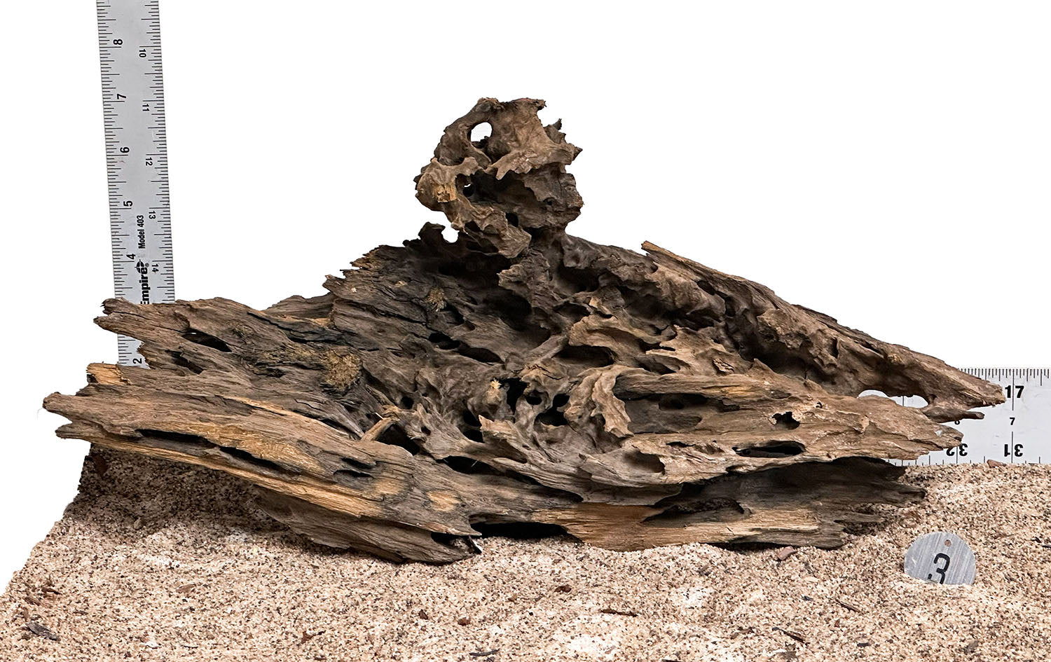 WYSIWYG 3S - 260325 - Ohko Wood (Large)
