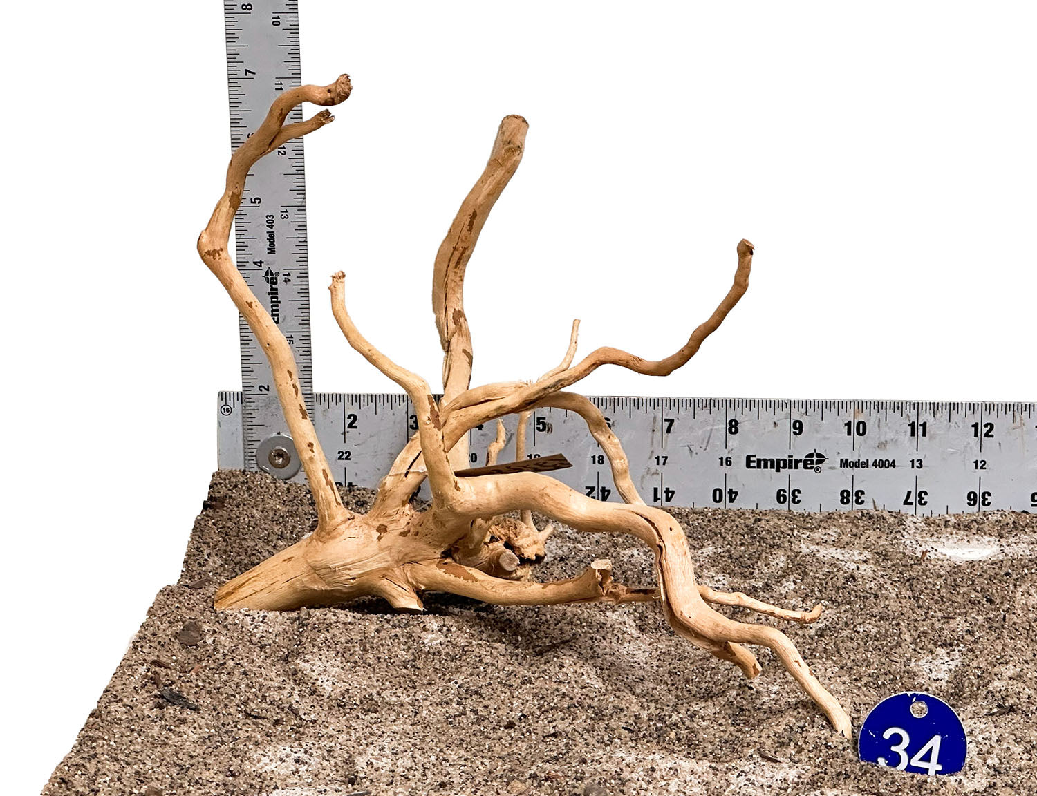 WYSIWYG 34BU - 260325 - Spider Wood (Small)