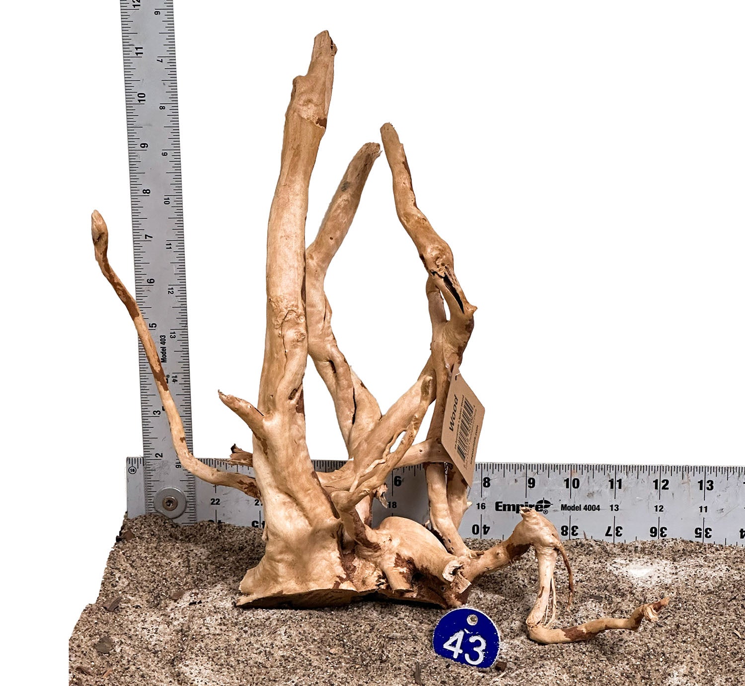 WYSIWYG 43BU - 260325 - Spider Wood (Small)