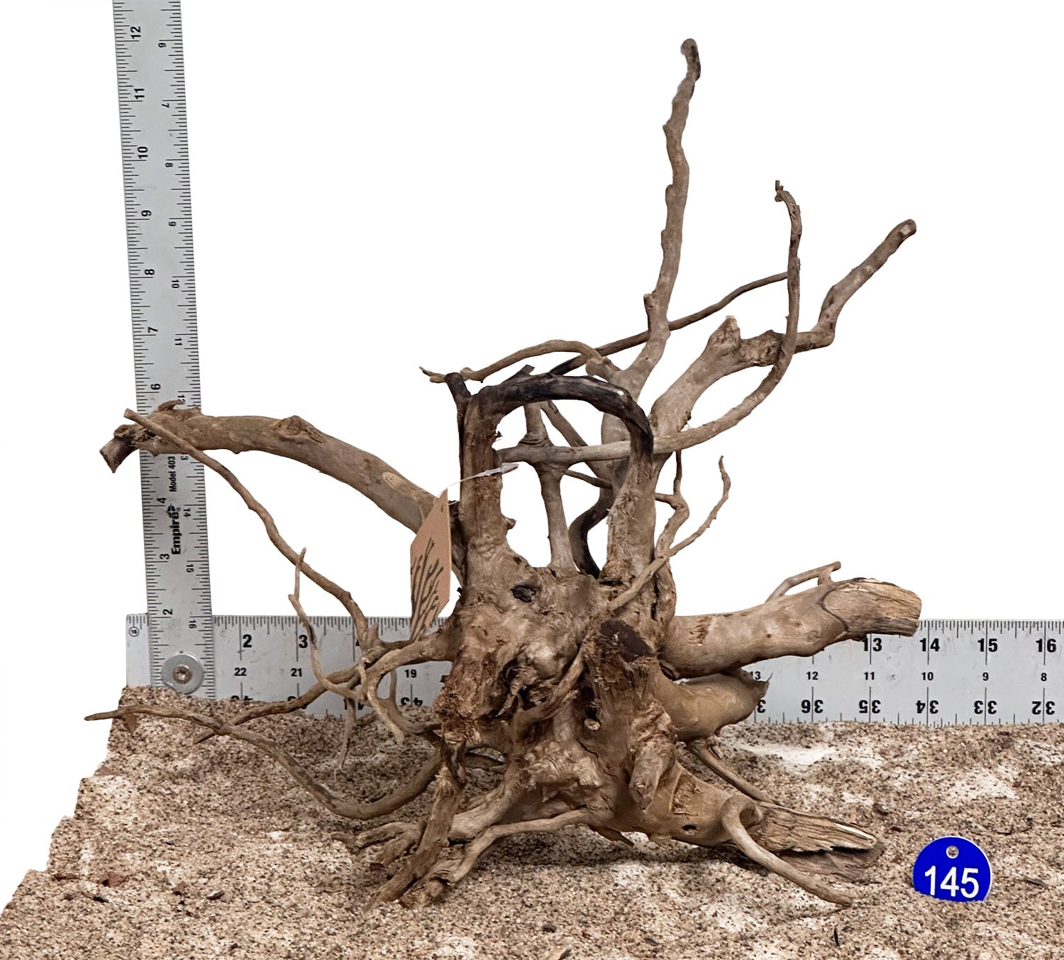 WYSIWYG 145BU - 260502 - Black Spider Wood (Small)