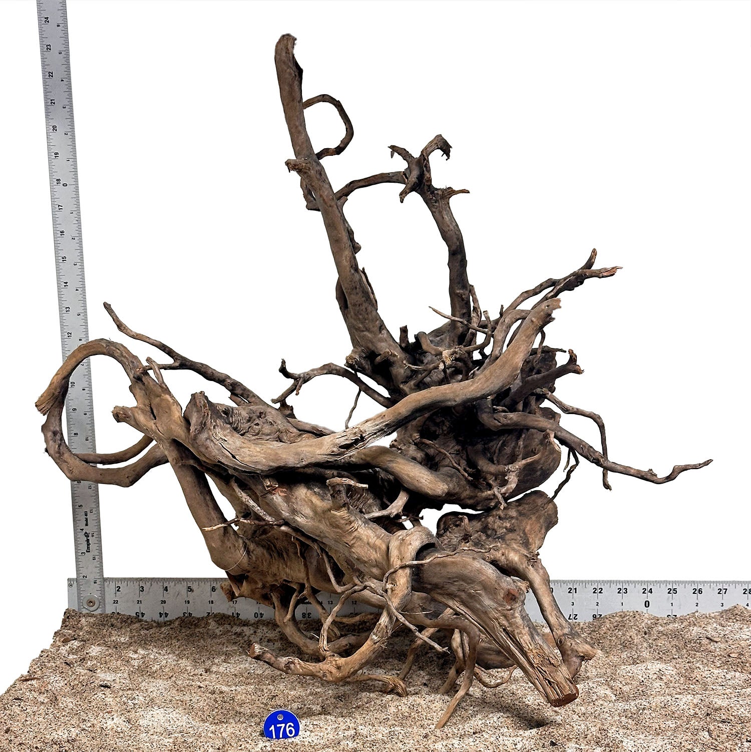 WYSIWYG 176BU - 260502 - Black Spider Wood (XL)