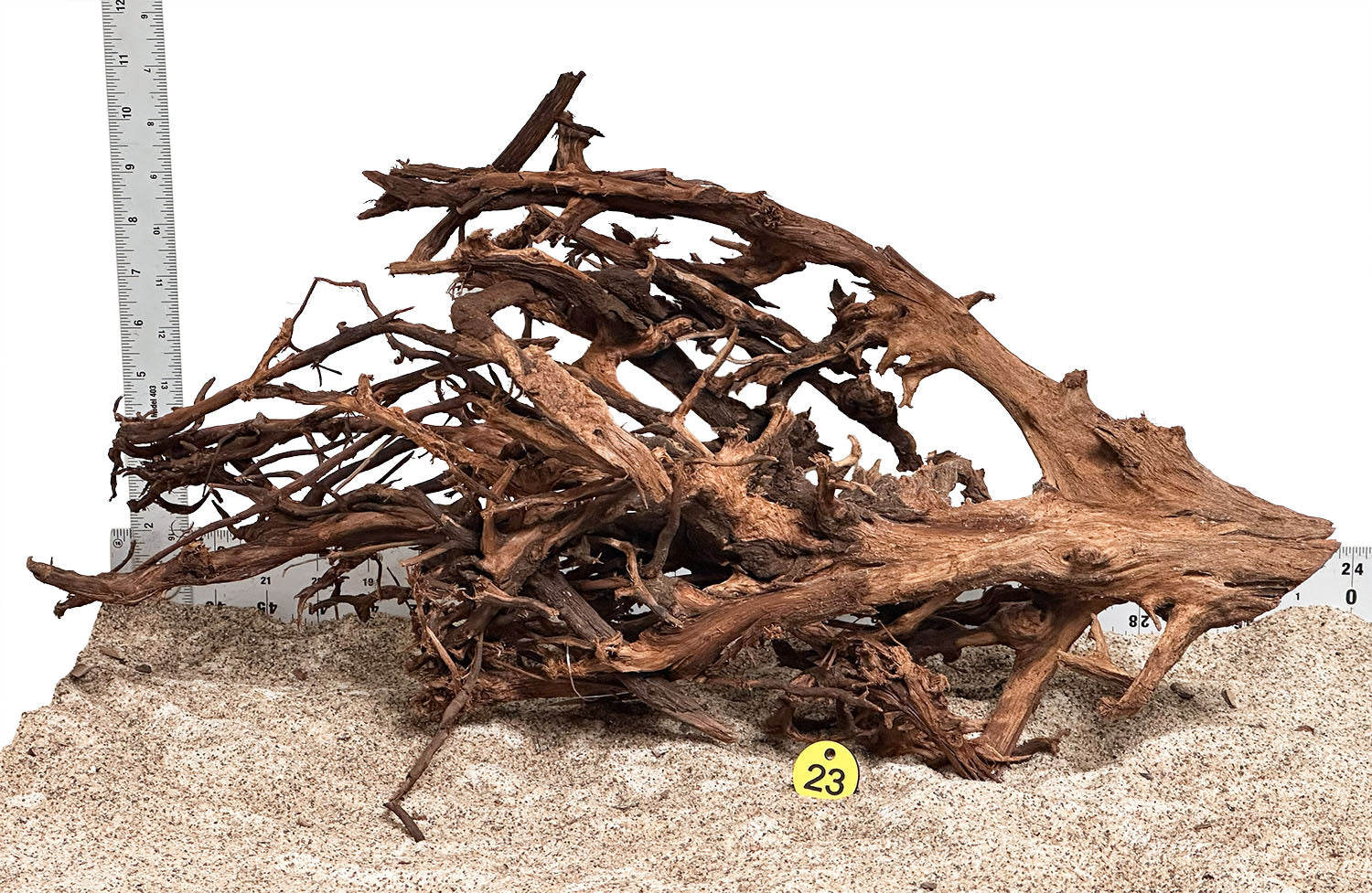 WYSIWYG 23Y - 260502 - Malaysian Mangrove Wood (XL)