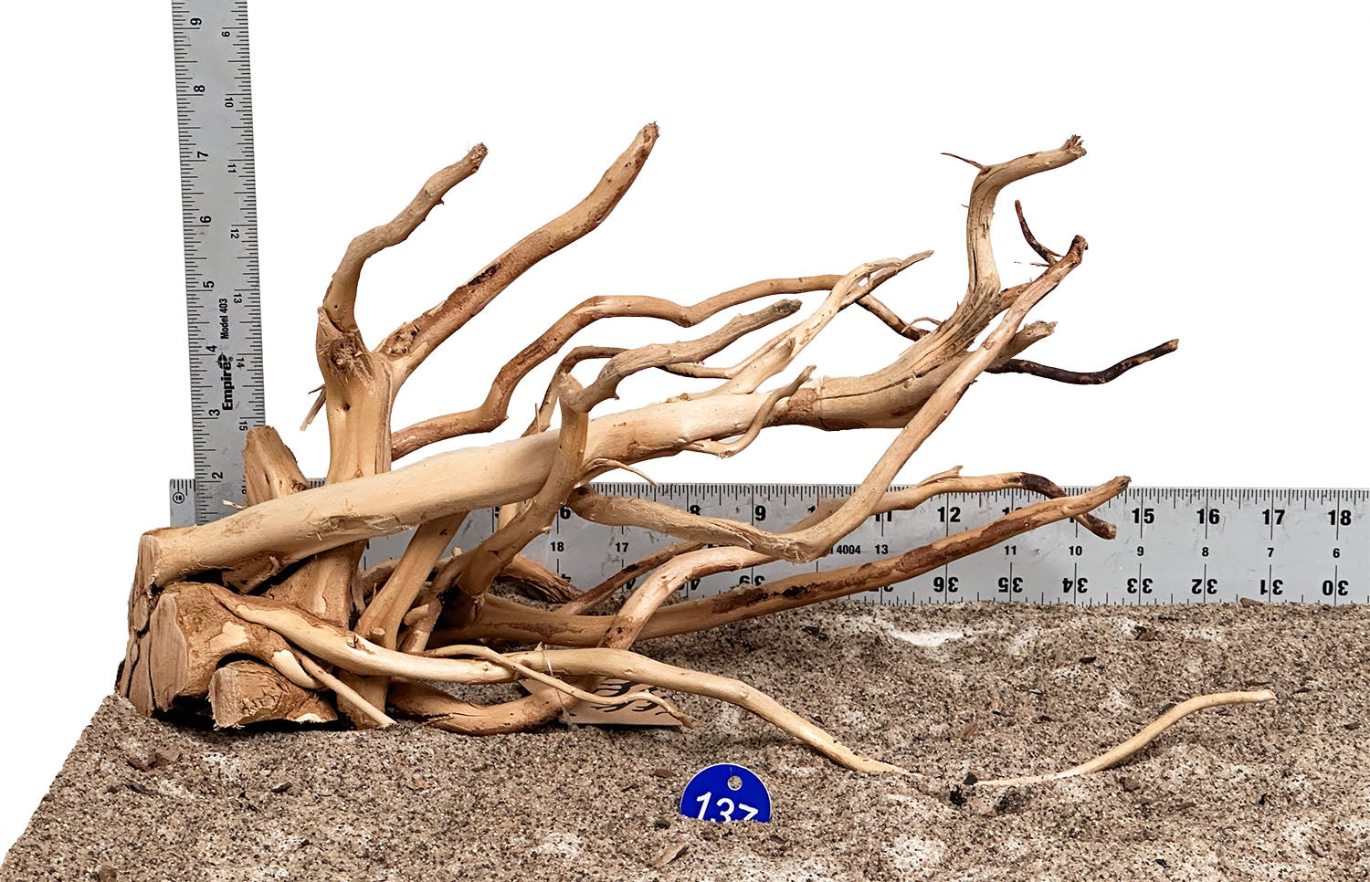 WYSIWYG 137BU - 260502 - Spider Wood (Medium)