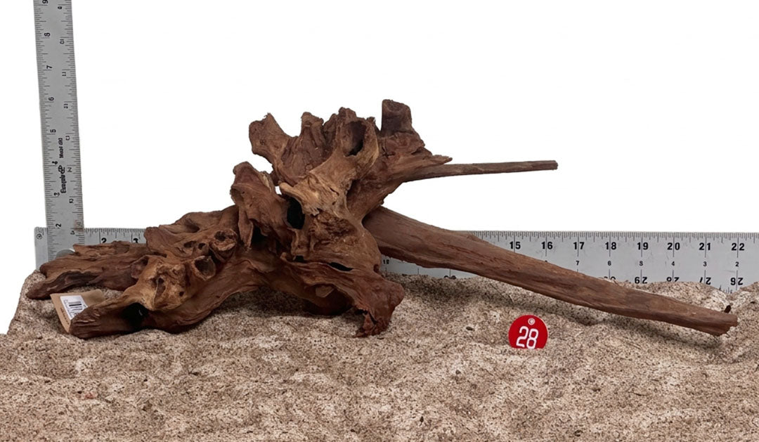 WYSIWYG 28RD - 261027 - Gnarly Wood (L)