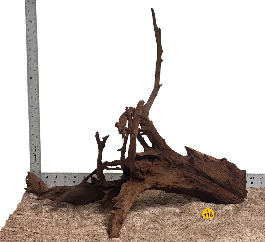 WYSIWYG 178Y - 261027 - Malaysian Mangrove Wood (L)