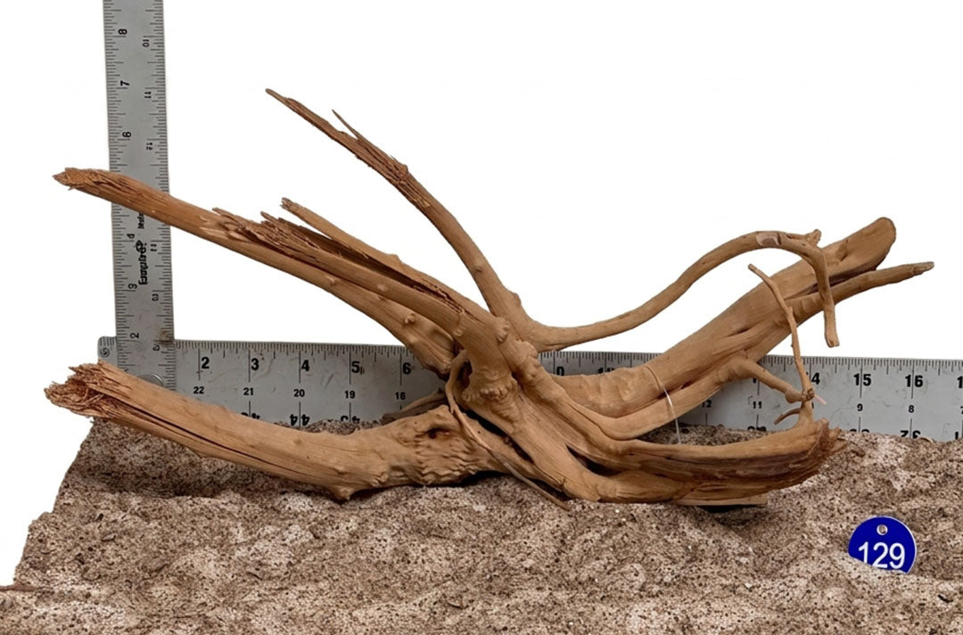WYSIWYG 129BU - 261027 - Weathered Spider Wood (M)
