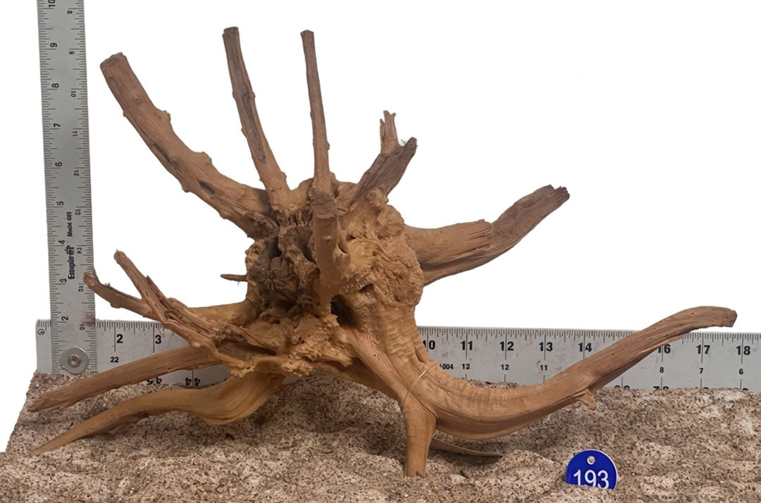 WYSIWYG 193BU - 261027 - Weathered Spider Wood (M)