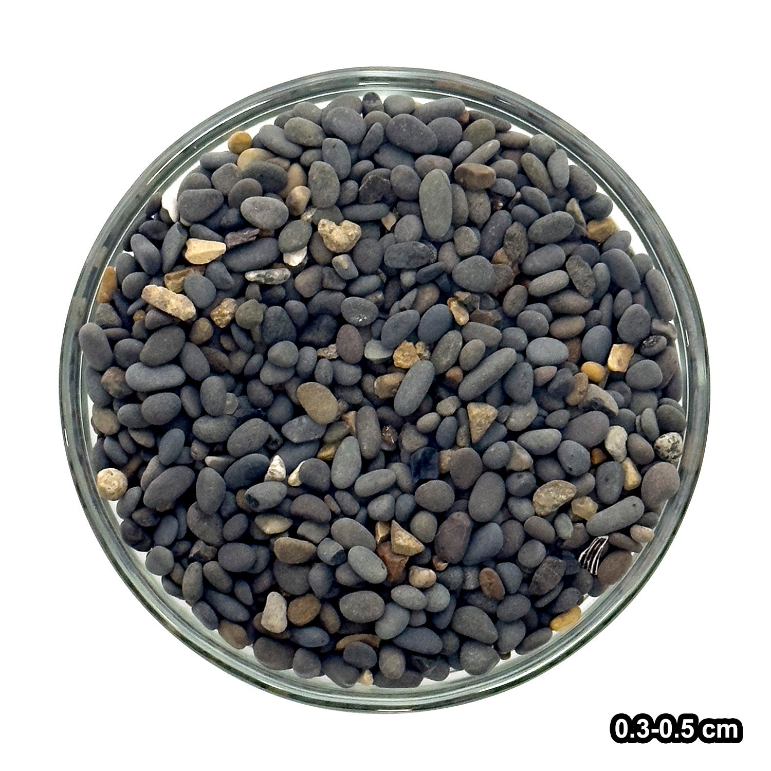 SR Aquaristik Black Beach Pebbles 11 lbs