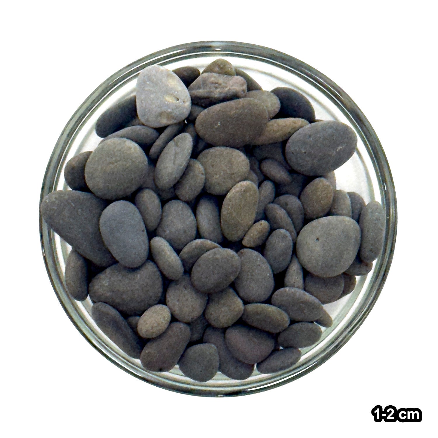 SR Aquaristik Black Beach Pebbles 11 lbs