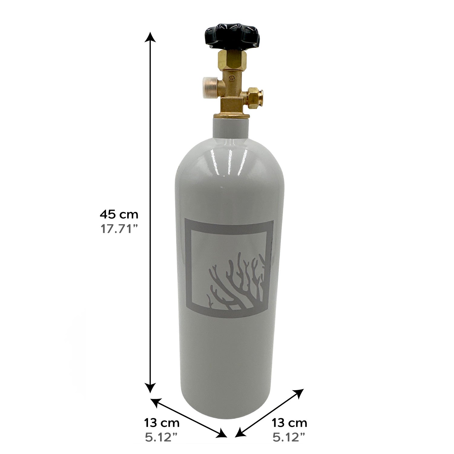 5lb Aluminum CO2 Bottle (Empty) - Painted Aluminum