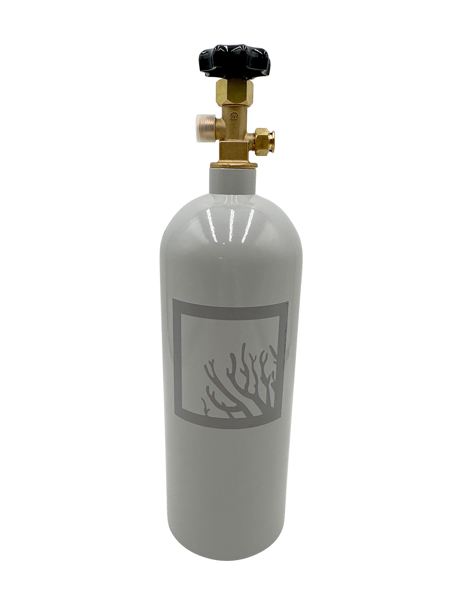 5lb Aluminum CO2 Bottle (Empty) - Painted Aluminum