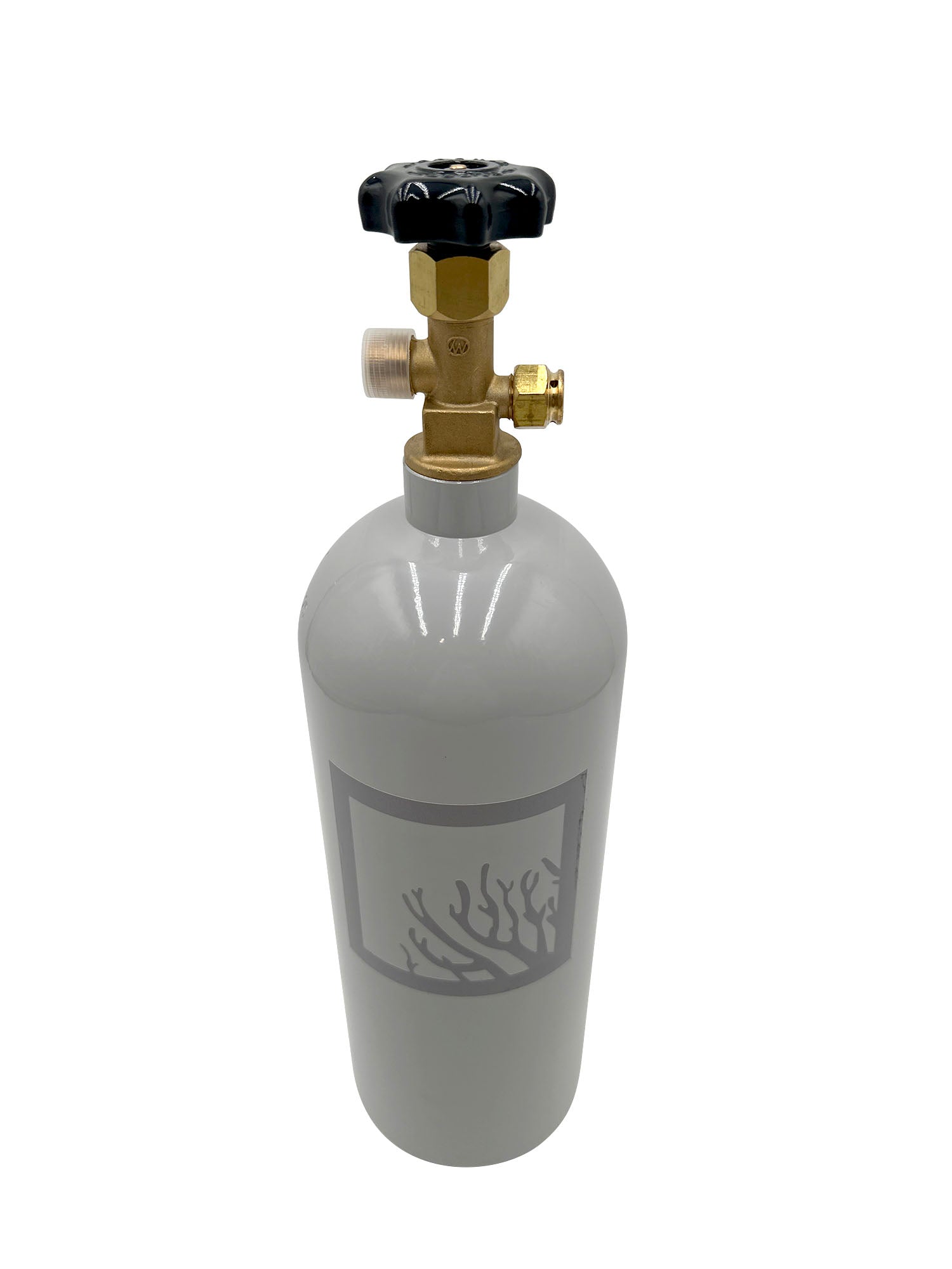 5lb Aluminum CO2 Bottle (Empty) - Painted Aluminum