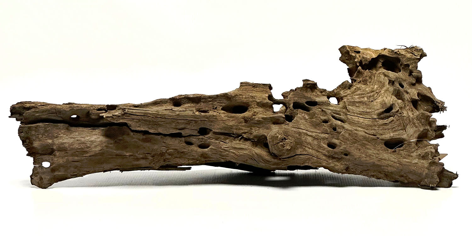 SR Aquaristik Ohko Wood