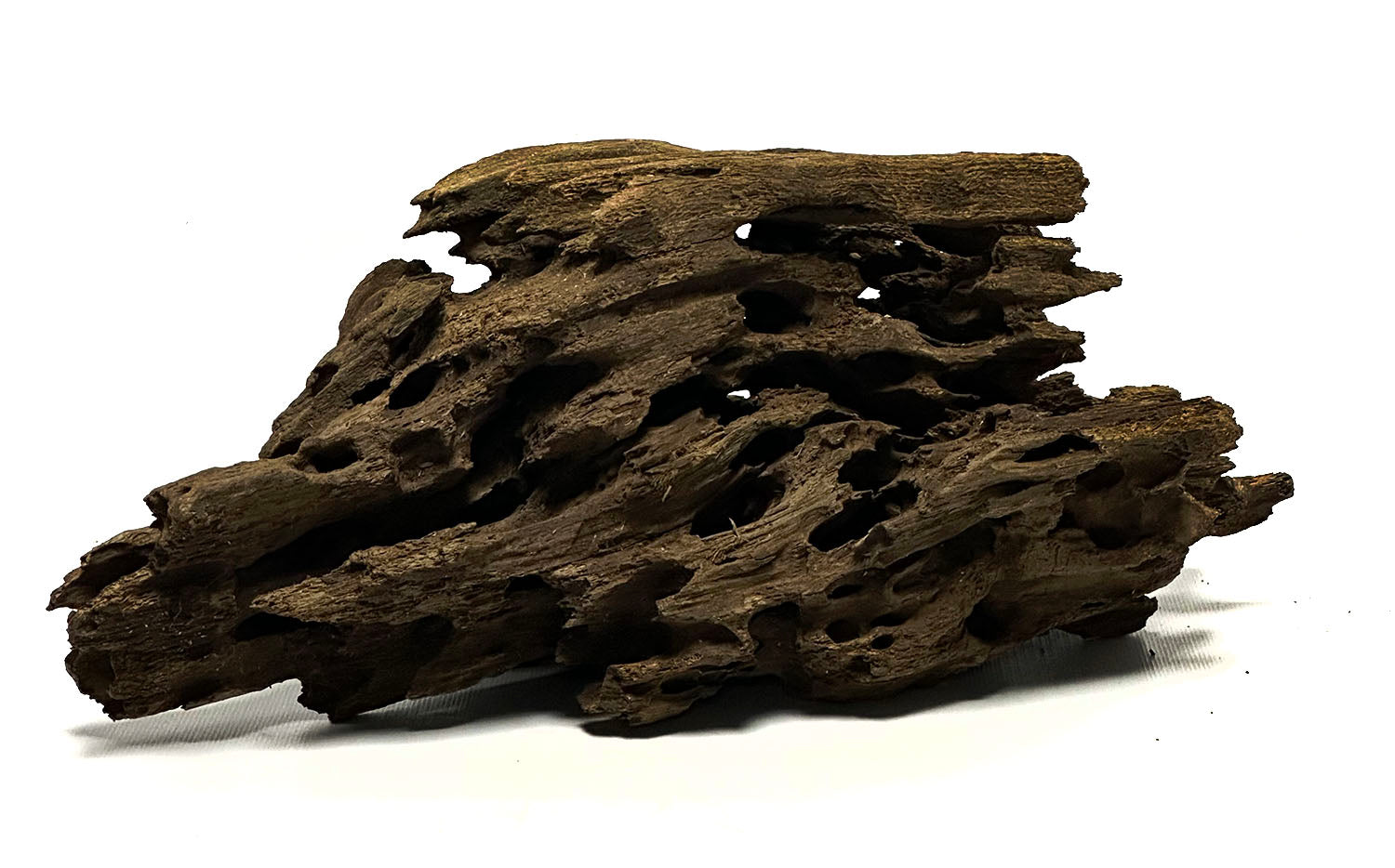 SR Aquaristik Ohko Wood