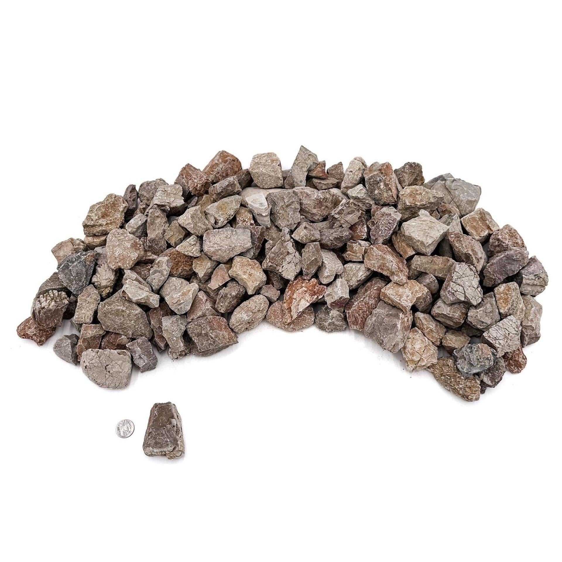 SR Aquaristik Tan Elephant Skin Stone