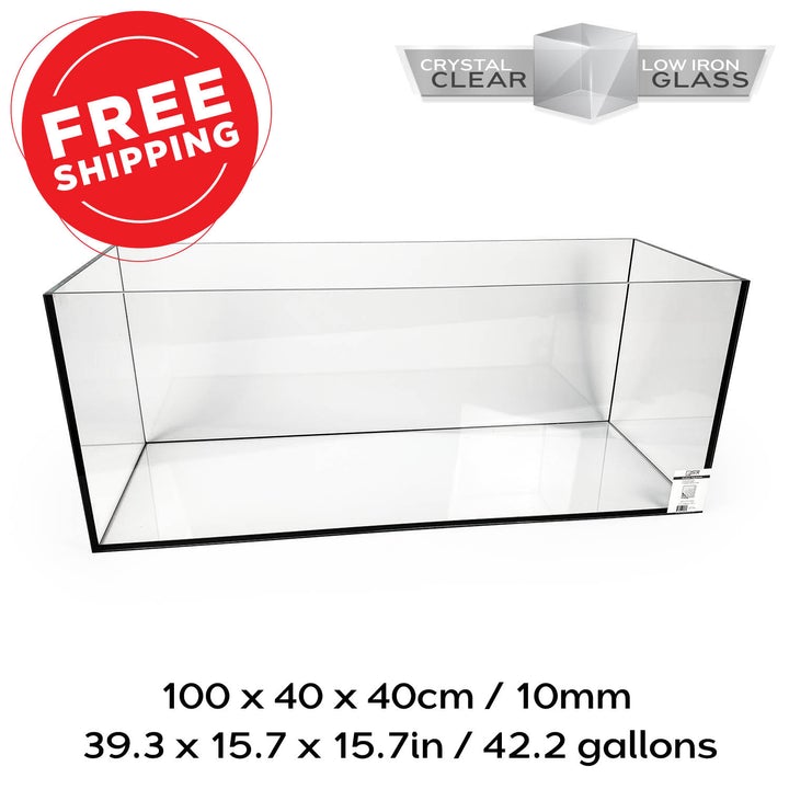 rimless aquarium 40 gallon