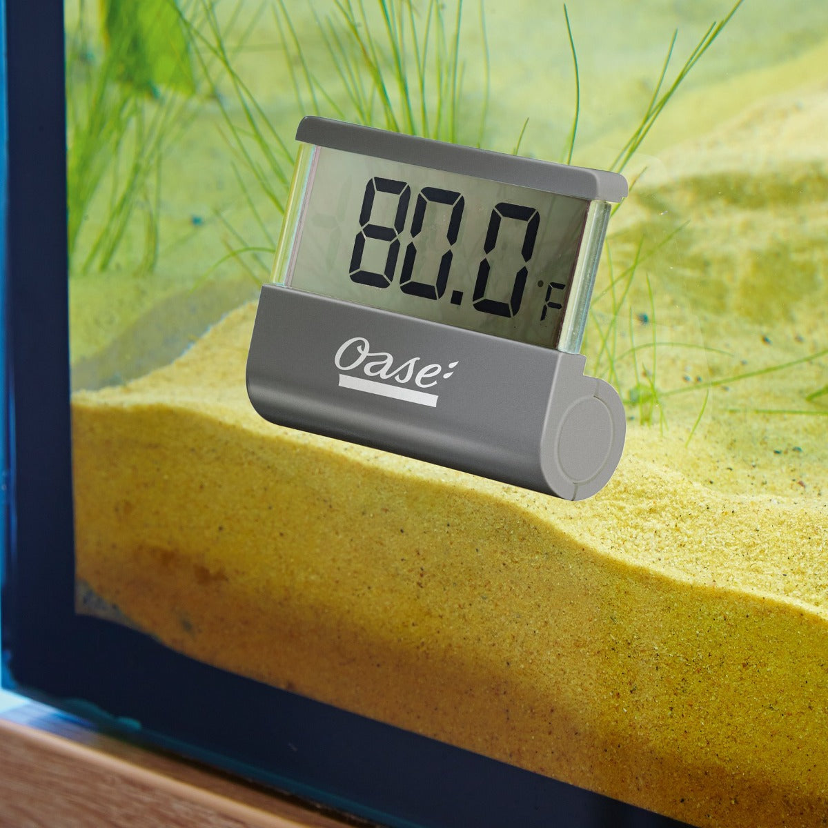 Oase Digital Thermometer –