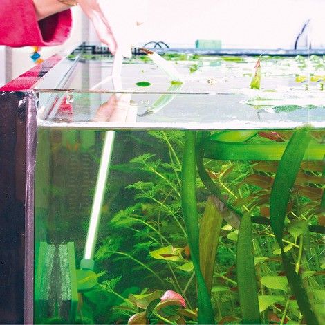 JBL Blanki Set (Heavy duty aquarium glass scrubber)