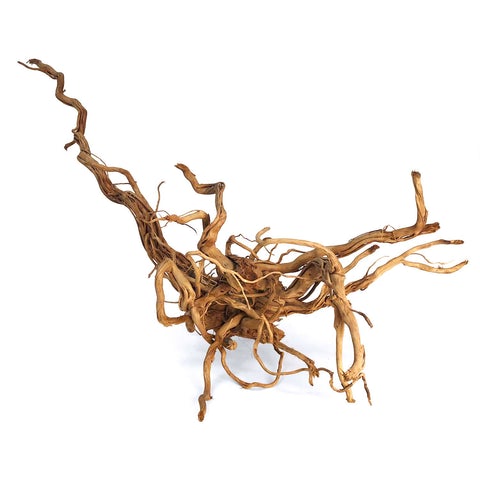 extra large dragon wood