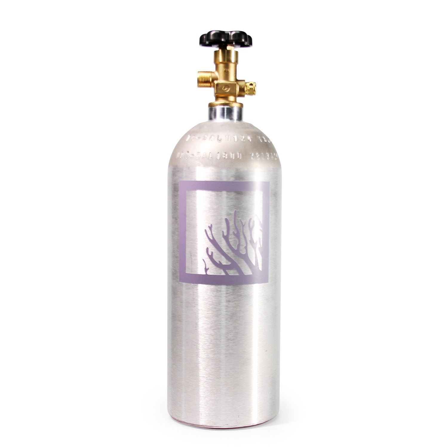 SR Aquaristik 5 lbs Aluminum CO2 Bottle (Empty)