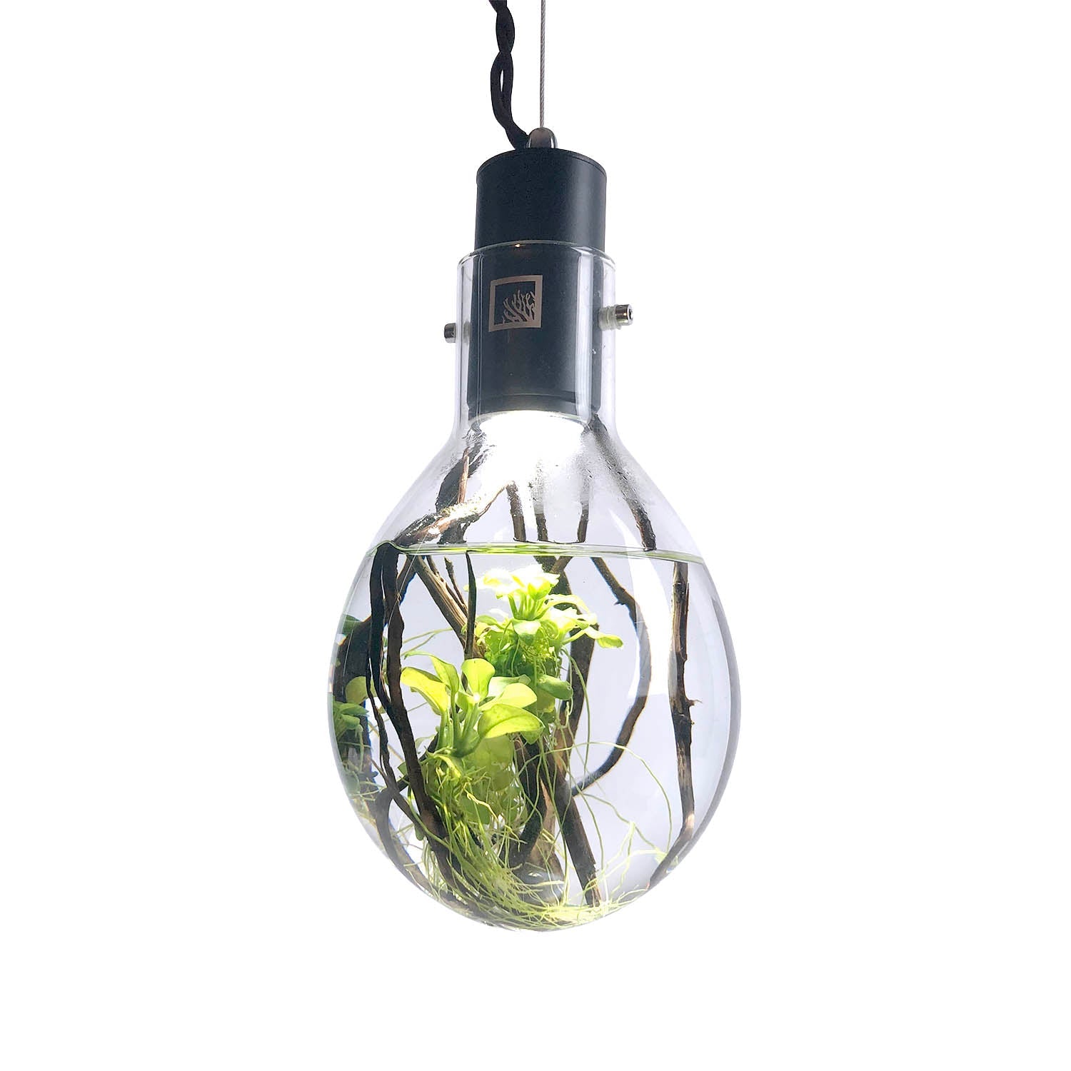 SR Aquaristik Hanging Luminarium Aquarium