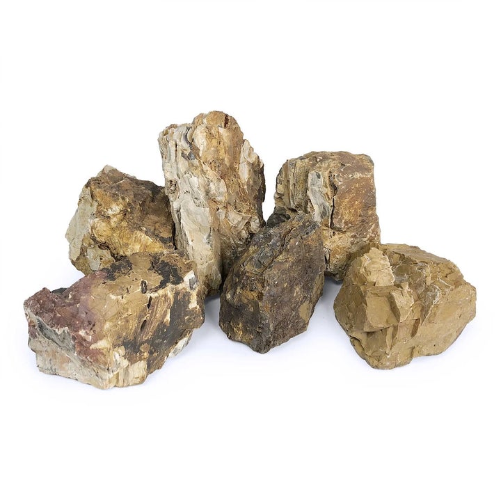 fish tank petrified wood stone