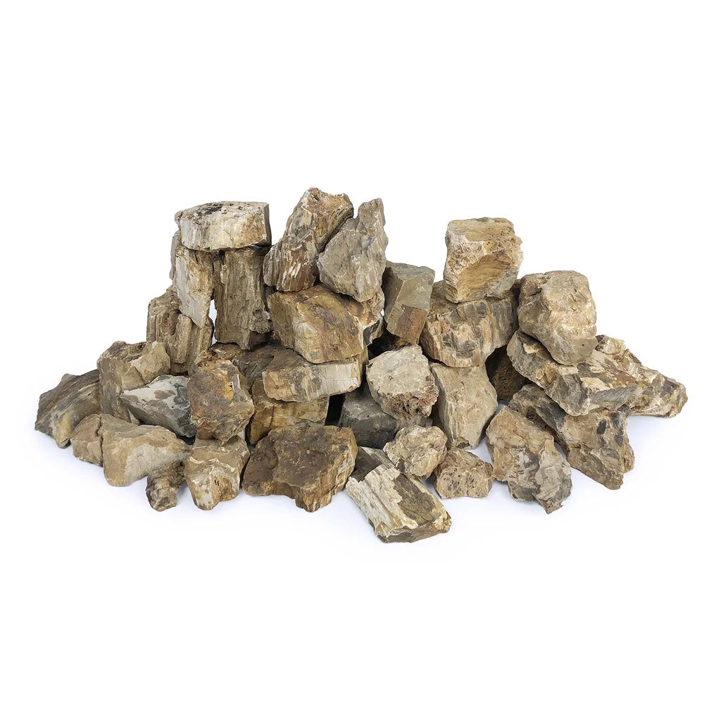 SR Aquaristik Petrified Wood Stone