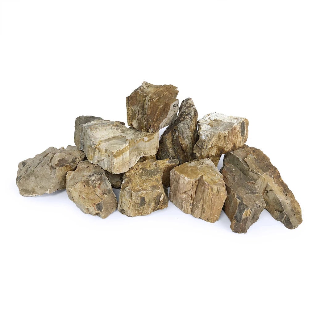 SR Aquaristik Petrified Wood Stone