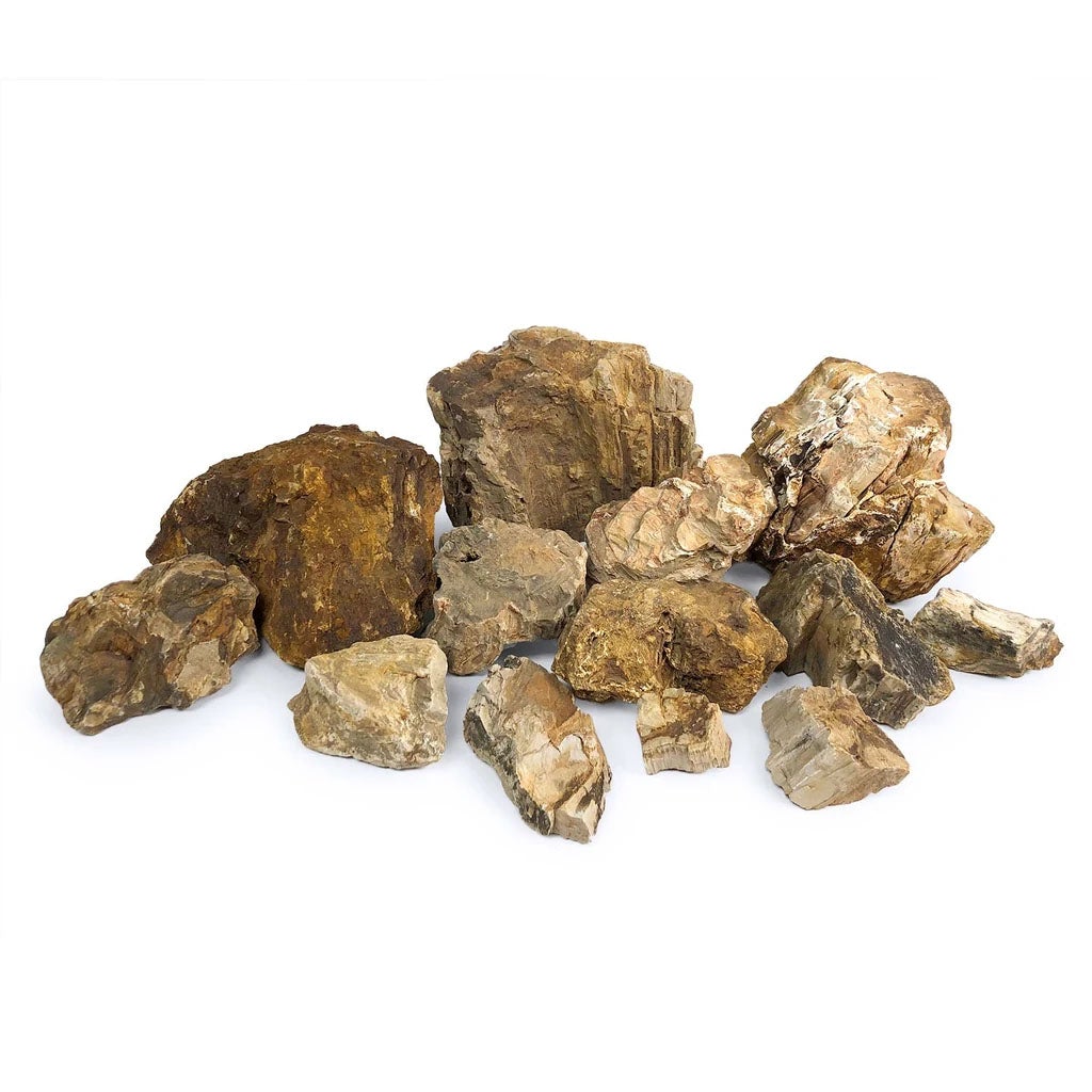 SR Aquaristik Petrified Wood Stone