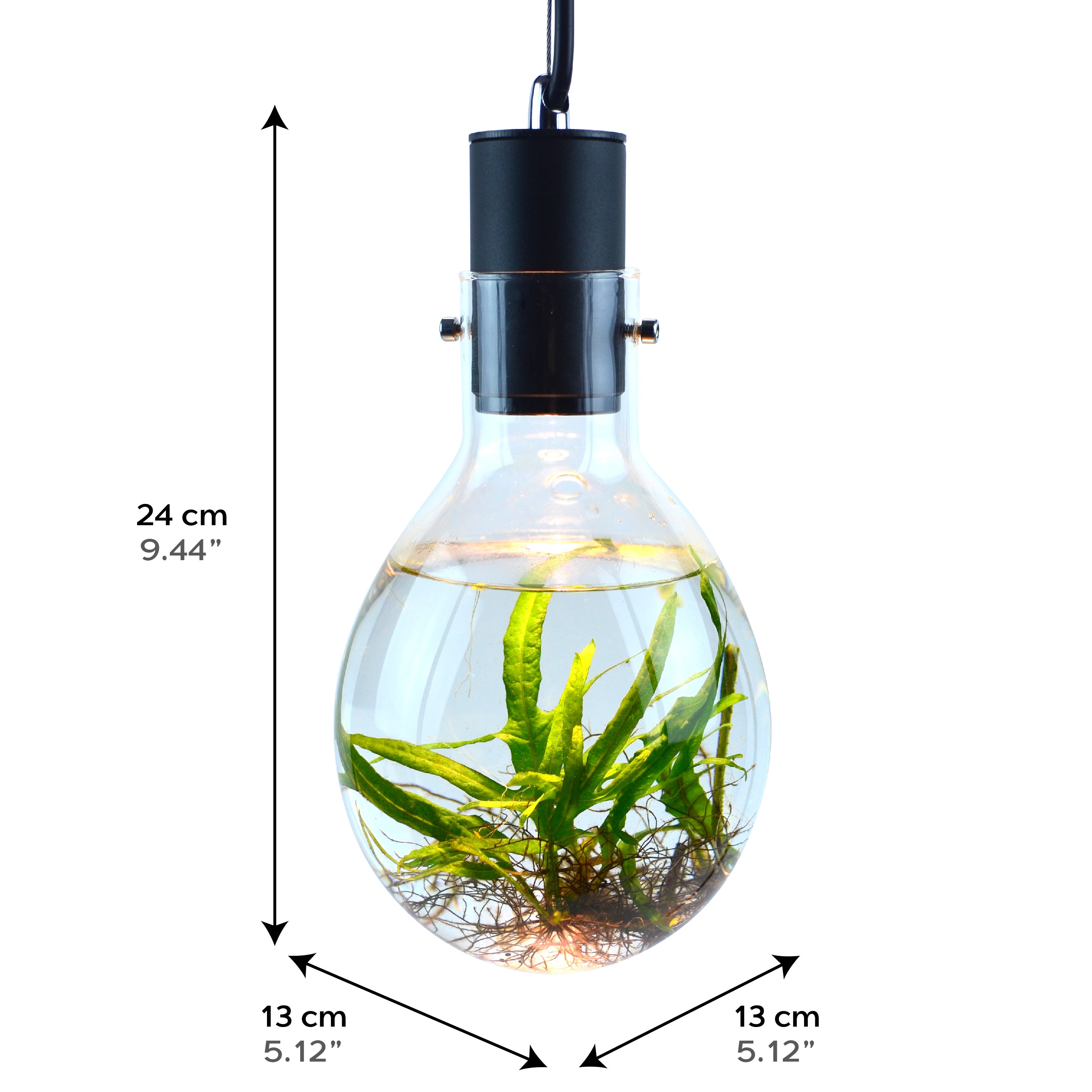 SR Aquaristik Hanging Luminarium Aquarium