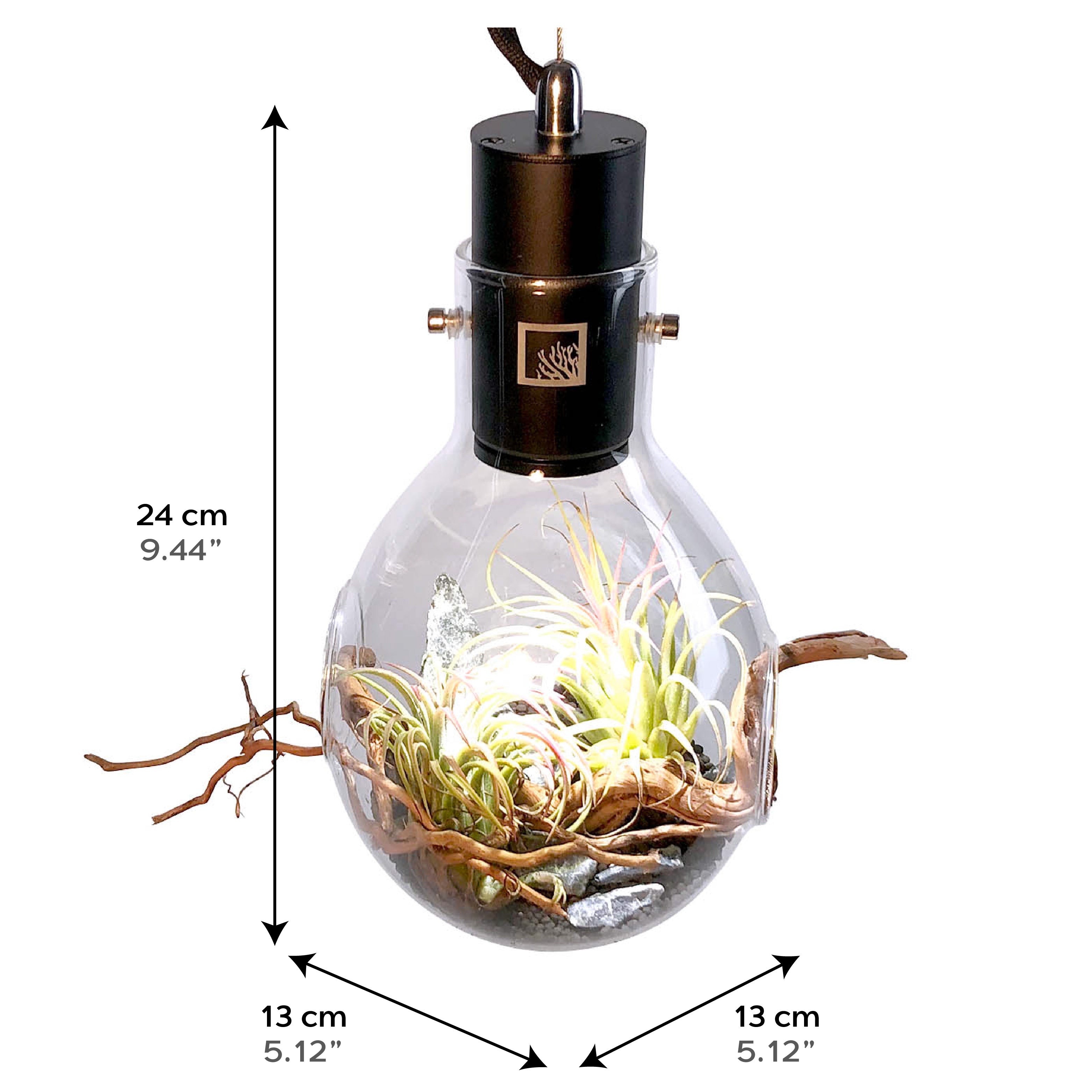 SR Aquaristik Hanging Luminarium Terrarium