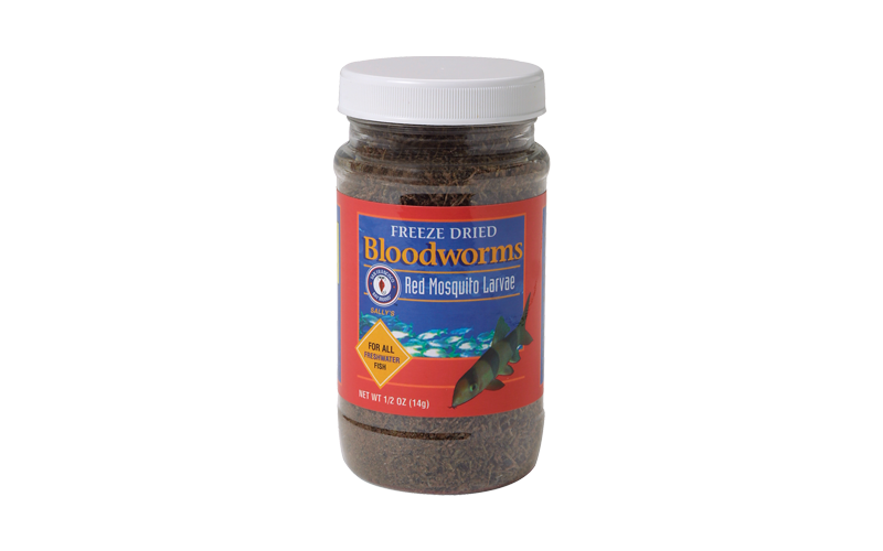 San Francisco Bay Freeze Dried Bloodworms