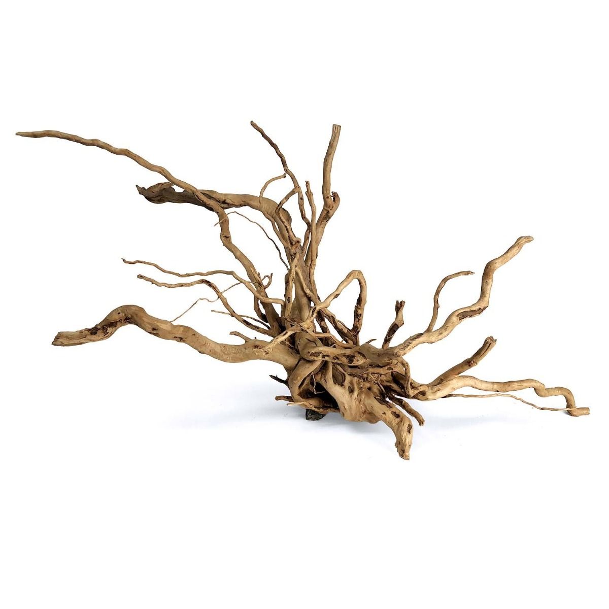 large spider wood for aquarium