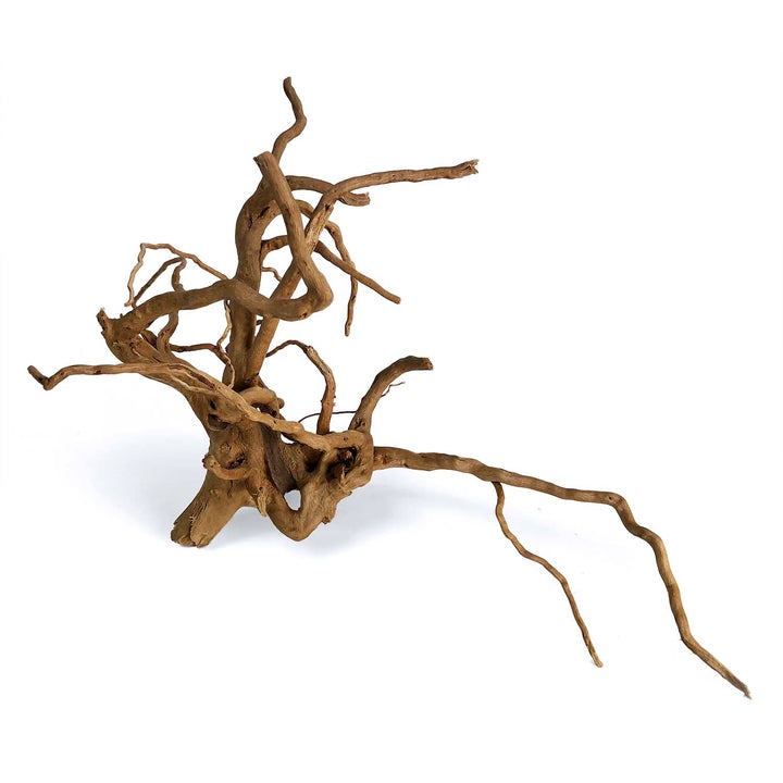 aquarium spider wood decoration