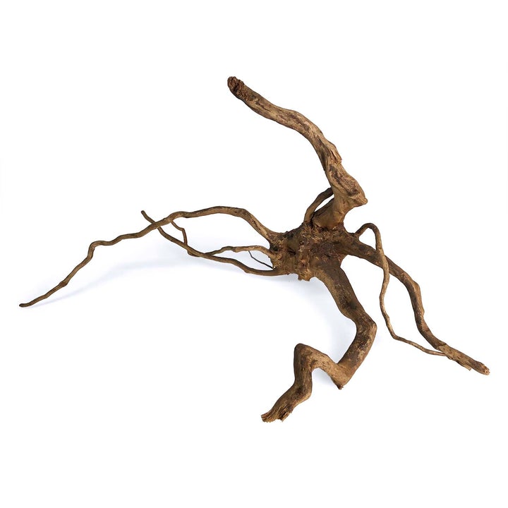 black spider wood decor
